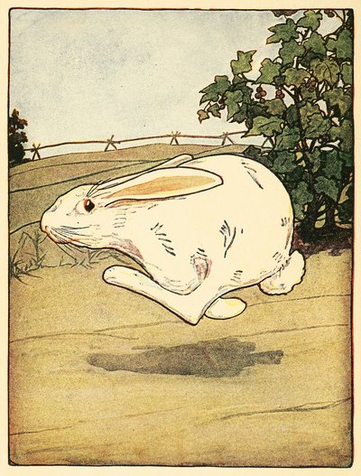 彼得从未停止过奔跑，出自《彼得兔的故事》，出版。1916年彩色石版画，1916年。 作者 美国学校