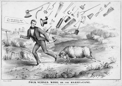 Polk与羊毛，或者The Harry-cane，由HR Robinson，纽约出版，1844年 作者 美国学校