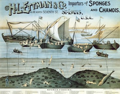 海报广告HL Ettman＆Co。，海绵和羚羊的进口商，1897年 作者 American School