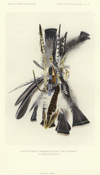冬至时节火神兄弟会成员的祈祷羽翼（彩色石版画） 作者 美国学校