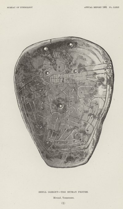 Shell Gorget  - 人体形象 作者 美国学校
