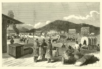 史蒂文森，阿拉巴马州，1863年8月 作者 美国学校
