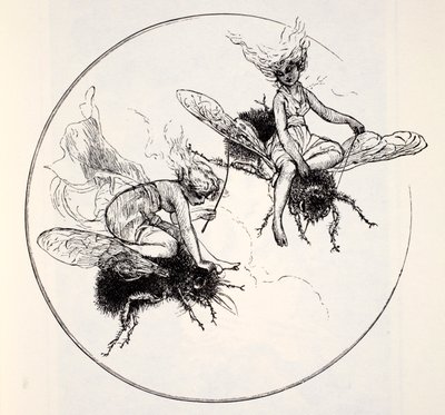 The Fays，来自侏儒，仙女，精灵和其他小人物的世界指南作者：Thomas Keightley（1789-1872）出版于1880年 作者 美国学校