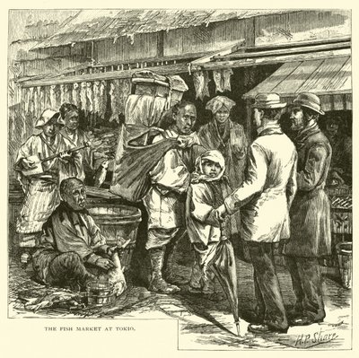Tokio的鱼市 作者 美国学校