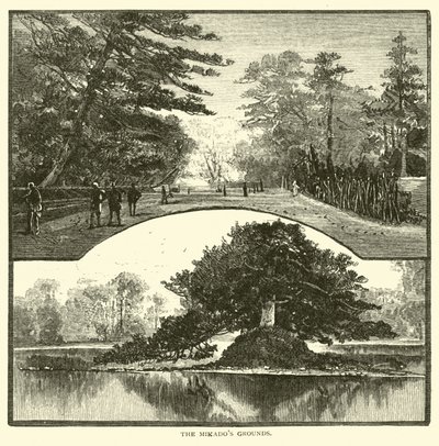 Mikados场地 作者 美国学校