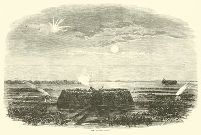 沼泽天使，1863年8月 作者 美国学校