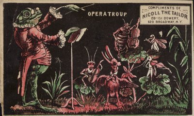 蟾蜍进行昆虫带 作者 美国学校