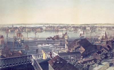 曼哈顿看法从布鲁克林，1837年 作者 美国学校