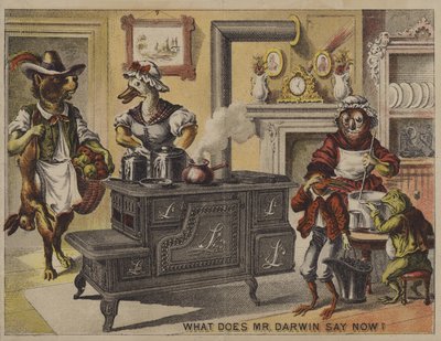 达尔文先生现在怎么说？(chromolitho) 作者 美国学校