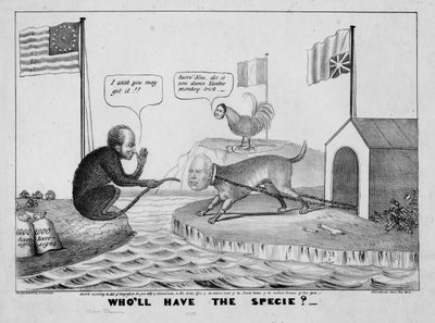 Wholl有这个物种吗？，1837年 作者 American School