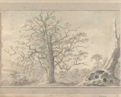 英格兰、苏格兰和威尔士的风景：朗德斯布鲁克公园 作者 阿莫斯·格林（Amos Green）