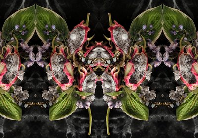 Eve_01, 2016 (摄影) 作者 