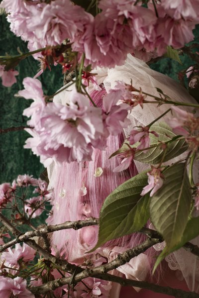 夏娃_03，2016 (摄影) 作者 