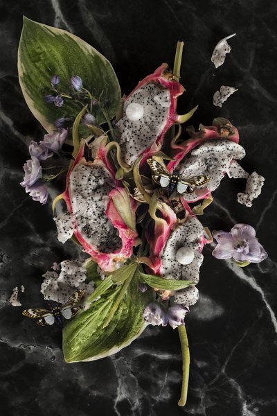 Eve_08, 2016 (摄影) 作者 