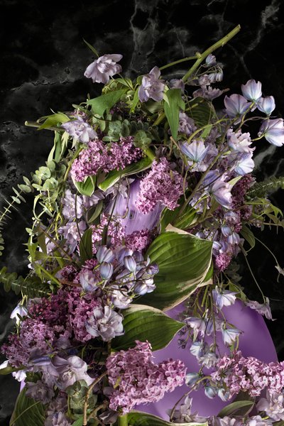 Eve_12, 2016 (摄影) 作者 