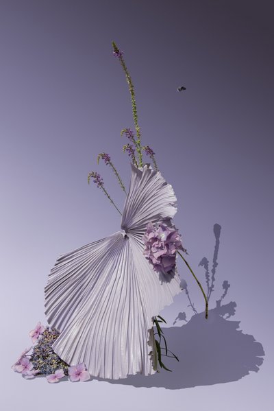 插花 01, 2018（摄影） 作者 