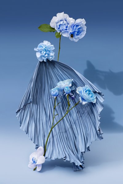 插花》2018 年第 03 期（摄影） 作者 