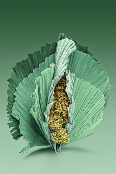 插花 04, 2018（摄影） 作者 