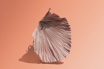 插花》2018 年第 07 期（摄影） 作者 