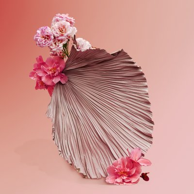 插花》2018 年第 09 期（摄影） 作者 