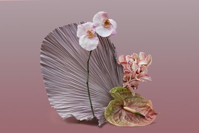 插花 12，2018 年（摄影） 作者 