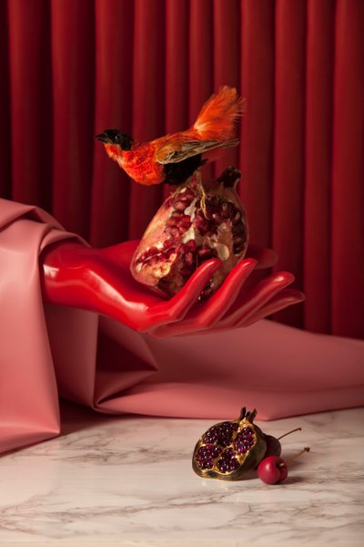 鲁比_07，2015 年（摄影） 作者 