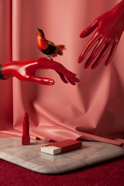 鲁比_08，2015 年（摄影） 作者 