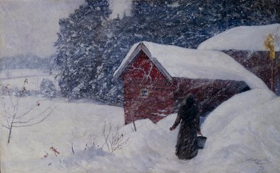 暴风雪 作者 安德斯·康斯鲁德