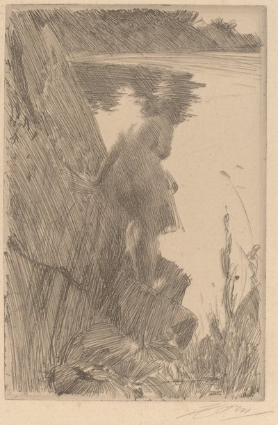 Bather III Baigneuse de Dos, 1896年。 作者 伦纳德·佐恩与众不同