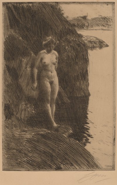 悬崖，1909。 作者 伦纳德·佐恩与众不同