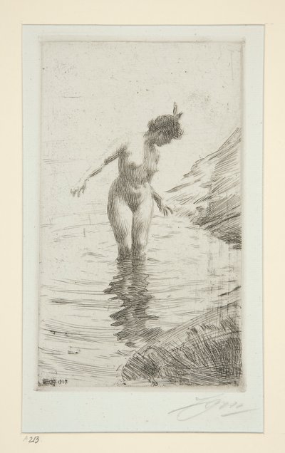 圈子 作者 Anders Leonard Zorn