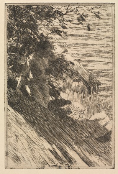 大沐浴者，1895年。 作者 伦纳德·佐恩与众不同
