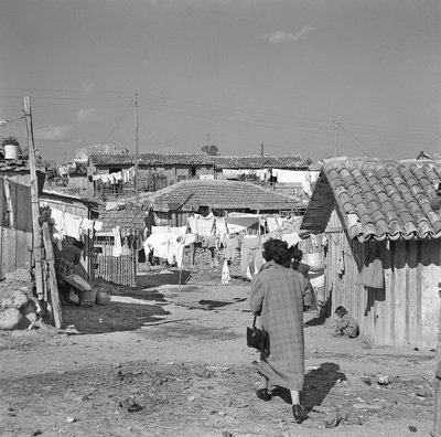 一个季度的上海 作者 