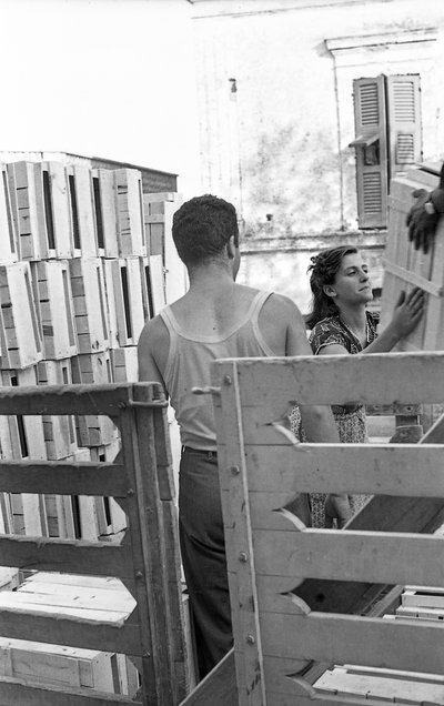 苦涩的葡萄--装满一卡车的箱子 作者 