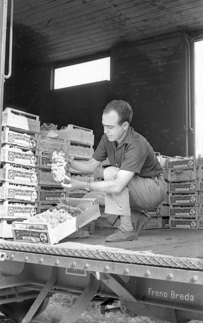 苦涩的葡萄--在货车上 作者 