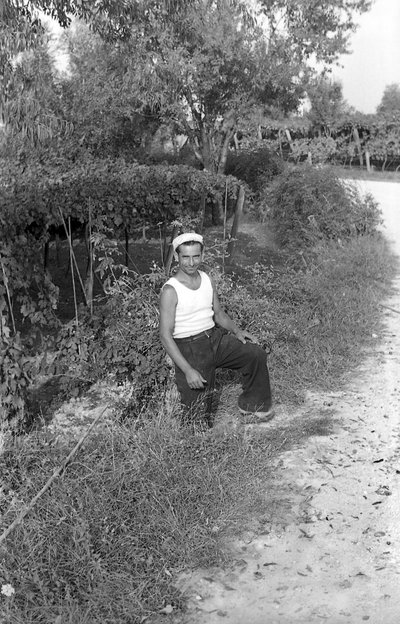 苦葡萄--奥尔托尼女王 作者 