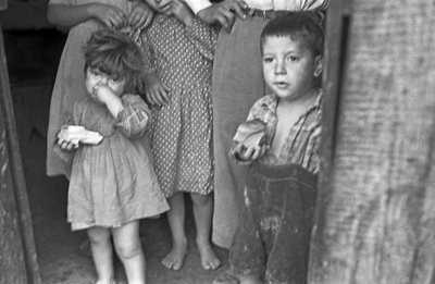 克罗托内乡村的童年 作者 