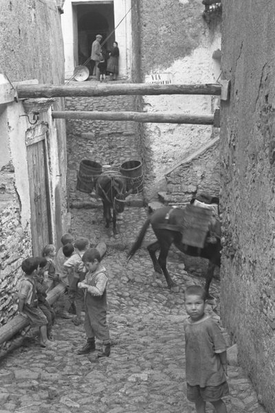 孩子们，梅丽莎 作者 