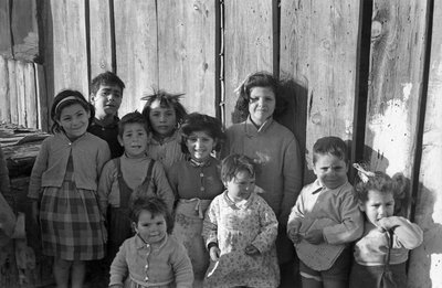 克罗托内儿童 作者 