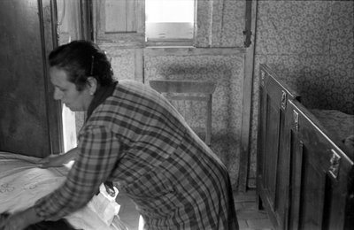 克罗顿主妇 作者 