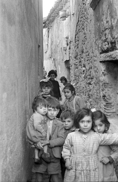 克罗托内 - 集体照 作者 