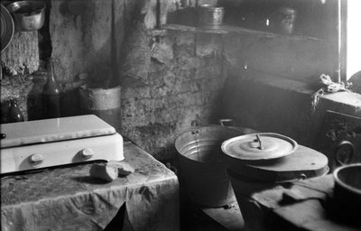 克罗托内 - 小厨房 作者 