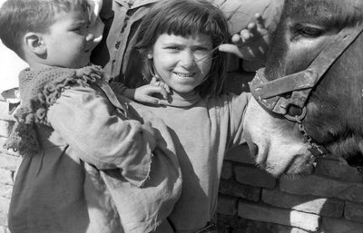 克罗托内 - 工人村的生活 作者 