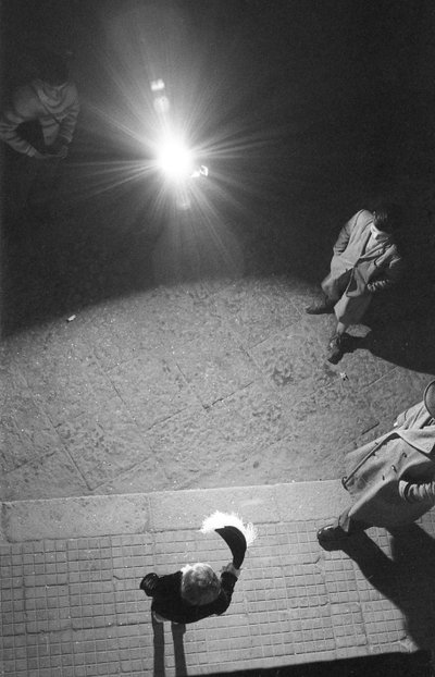 克罗托内 - 服饰照片记忆 作者 