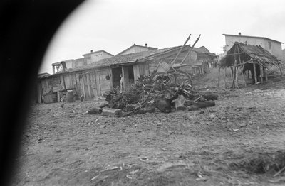 克罗托内--村庄近景 作者 