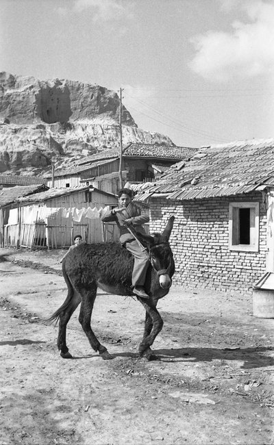 克罗托内 - 年轻的赶骡人 作者 