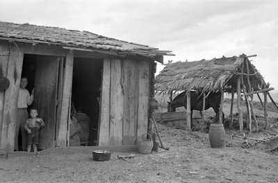 克罗托内运动 作者 