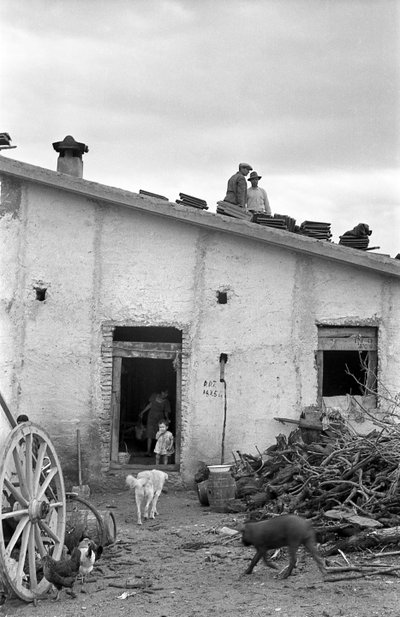 克罗托内乡村--为您遮风挡雨 作者 