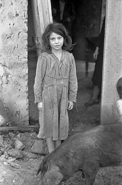 克罗托内乡村 - 女孩和猪 作者 