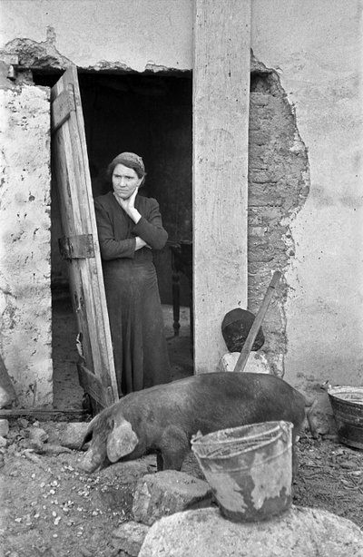 克罗托内乡村--砖石结构房屋的笑话、 作者 